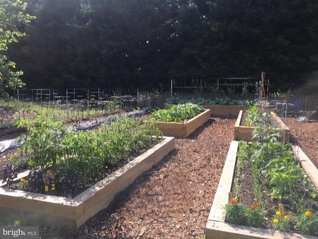 25706 EDGEVIEW RD, Royal Oak, MD 21662