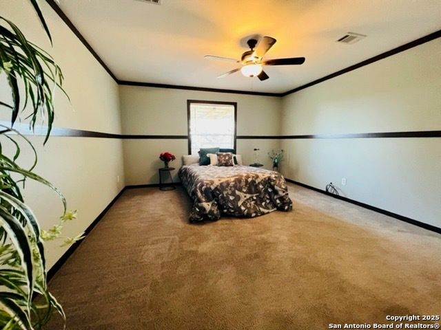 833 Cimarron, Spring Branch, TX 78070