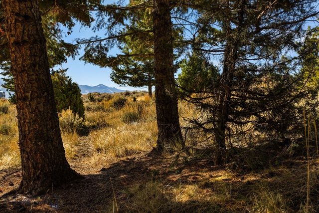 18 Libra Drive, Emigrant, MT 59027