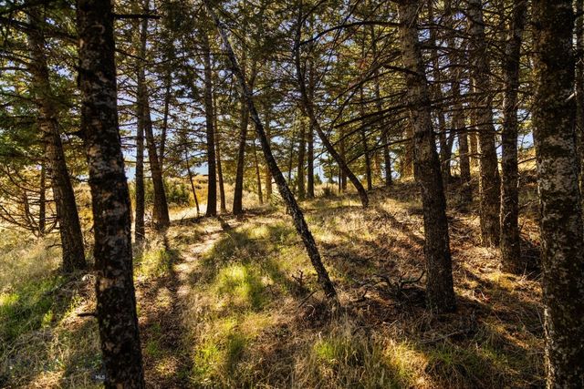 18 Libra Drive, Emigrant, MT 59027