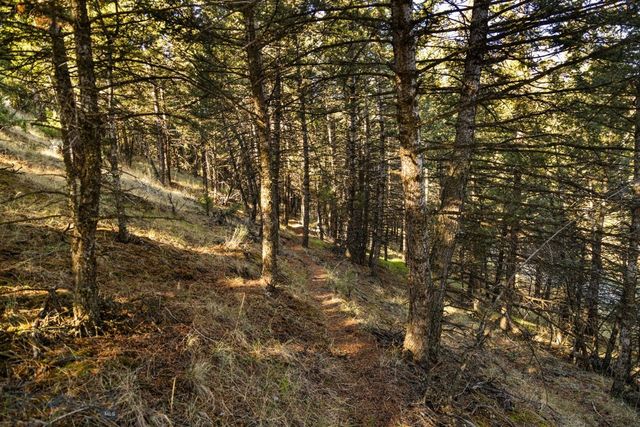 18 Libra Drive, Emigrant, MT 59027