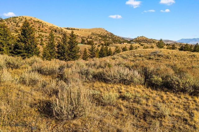 18 Libra Drive, Emigrant, MT 59027