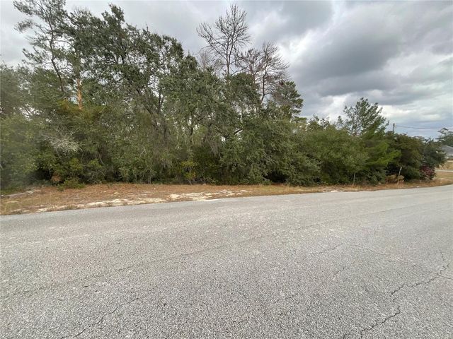 TBD SW 111TH PLACE, Ocala, FL 34476
