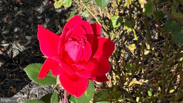 2784 MORAN DR, Waldorf, MD 20601