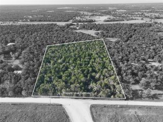 TBD Bascome Lane, Carmine, TX 78932
