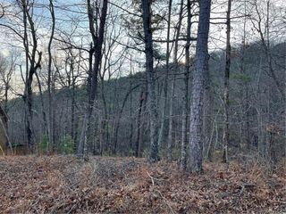 205 Sharp Top Mountain Trail, Jasper, GA 30143