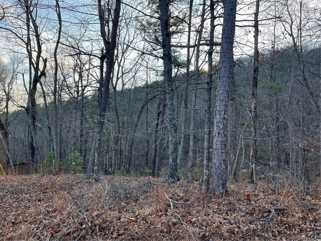 205 Sharp Top Mountain Trail, Jasper, GA 30143
