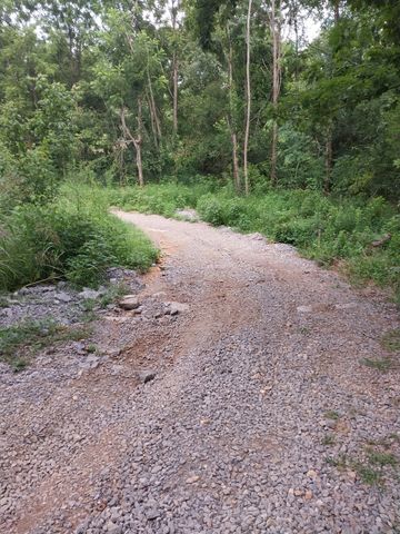 1317 Highway 259, Portland, TN 37148