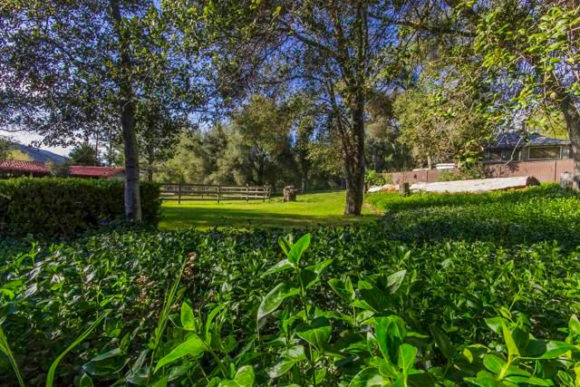 28831 Spruce Road, Pine Valley, CA 91962