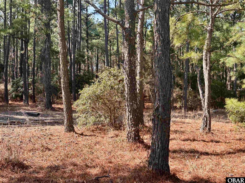 Image 8 of property listing at 2324 Ocean Pearl Road Lot 1, Corolla, NC 27927
