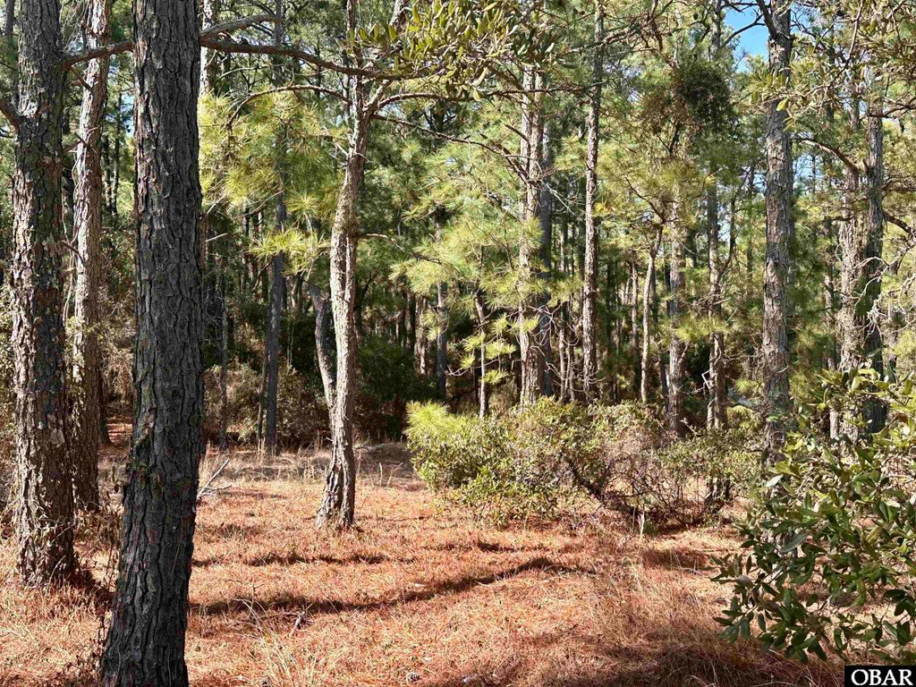 Image 9 of property listing at 2324 Ocean Pearl Road Lot 1, Corolla, NC 27927
