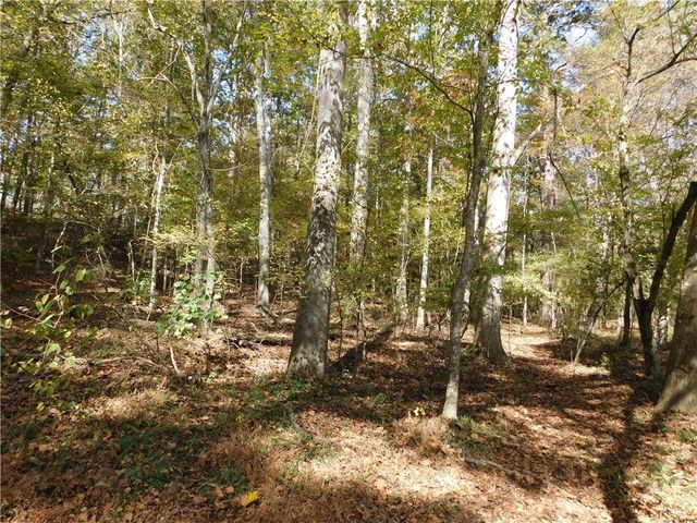 2614 Carolina Court, Bethlehem, GA 30620