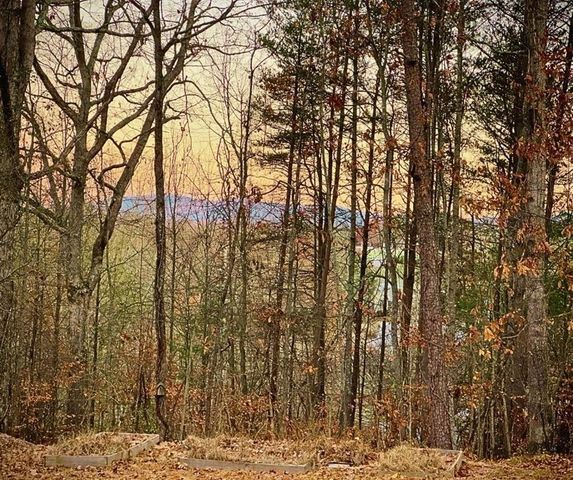372 Gabrels Drive, Clarkesville, GA 30523