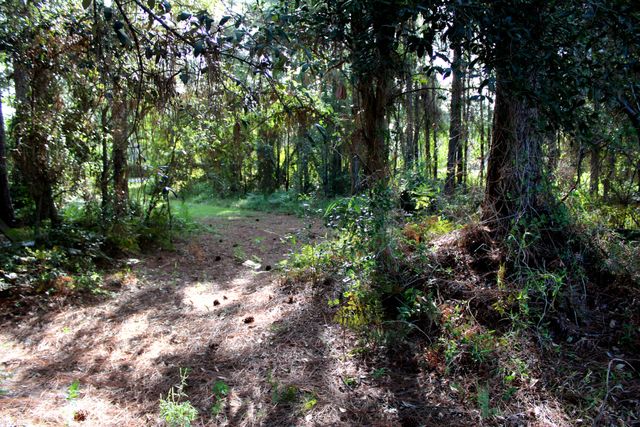 1621 Mauna Kea Court, Gulf Breeze, FL 32563