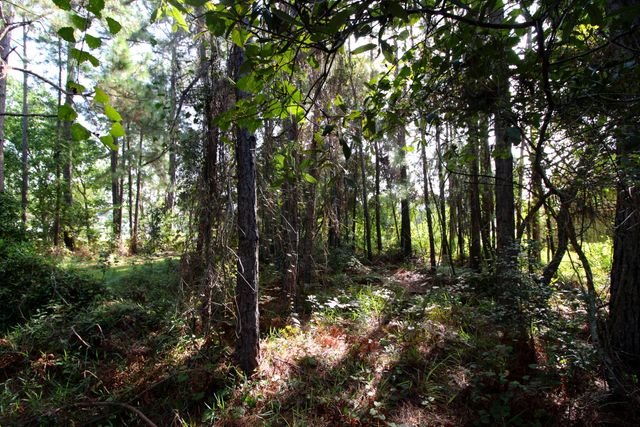 1621 Mauna Kea Court, Gulf Breeze, FL 32563