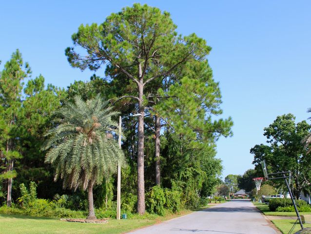 1621 Mauna Kea Court, Gulf Breeze, FL 32563