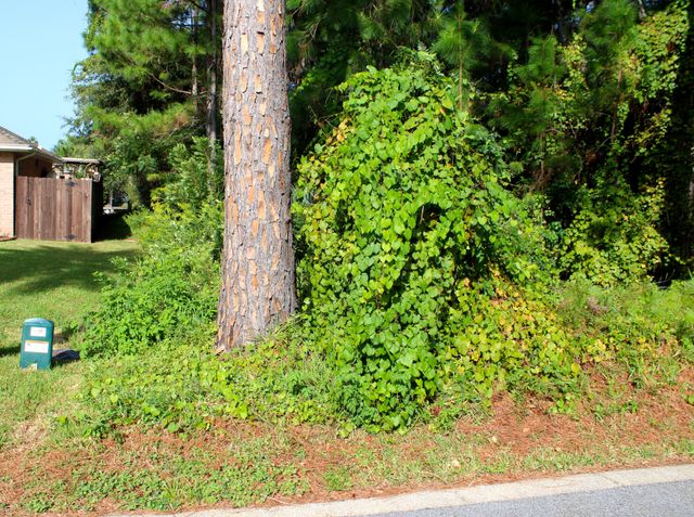 1621 Mauna Kea Court, Gulf Breeze, FL 32563