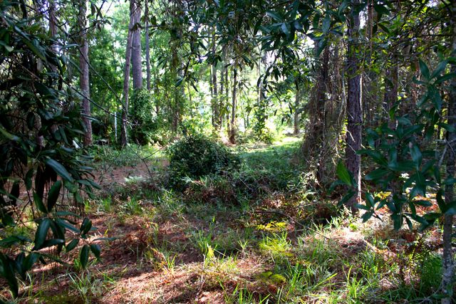 1621 Mauna Kea Court, Gulf Breeze, FL 32563