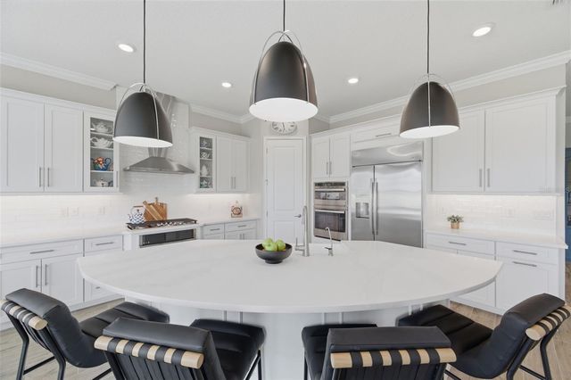 29657 PICANA LANE, Wesley Chapel, FL 33543