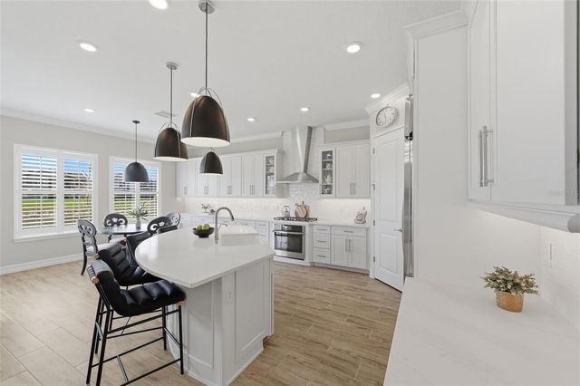 29657 PICANA LANE, Wesley Chapel, FL 33543