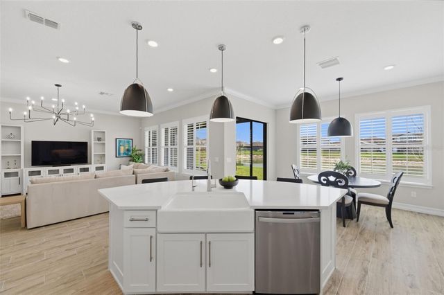 29657 PICANA LANE, Wesley Chapel, FL 33543