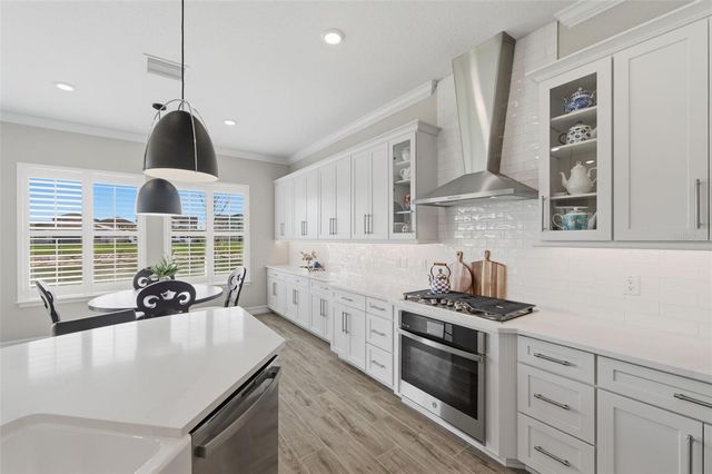 29657 PICANA LANE, Wesley Chapel, FL 33543