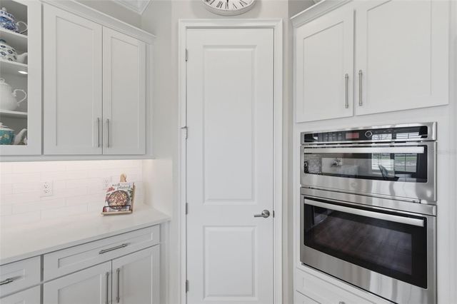 29657 PICANA LANE, Wesley Chapel, FL 33543