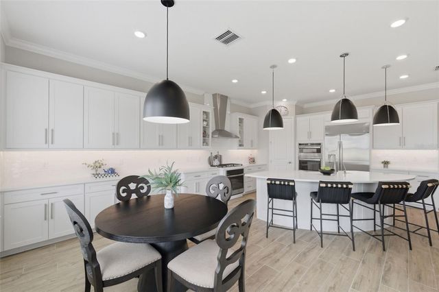 29657 PICANA LANE, Wesley Chapel, FL 33543