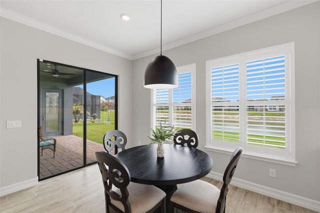 29657 PICANA LANE, Wesley Chapel, FL 33543