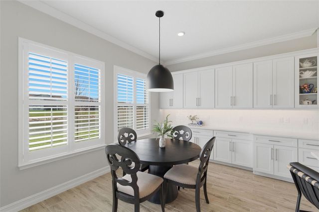 29657 PICANA LANE, Wesley Chapel, FL 33543