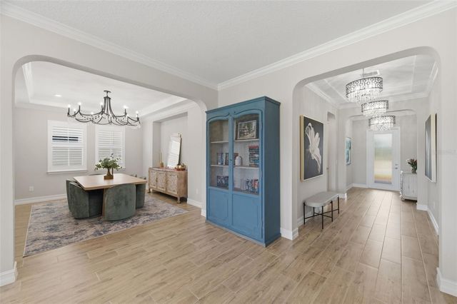 29657 PICANA LANE, Wesley Chapel, FL 33543