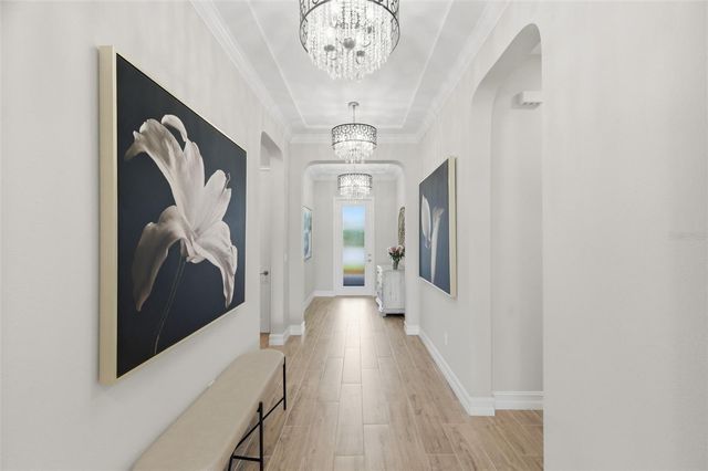 29657 PICANA LANE, Wesley Chapel, FL 33543