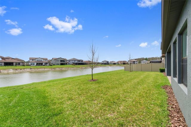 29657 PICANA LANE, Wesley Chapel, FL 33543