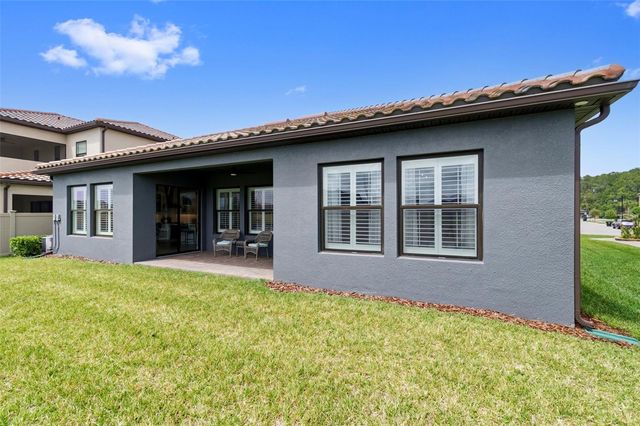 29657 PICANA LANE, Wesley Chapel, FL 33543