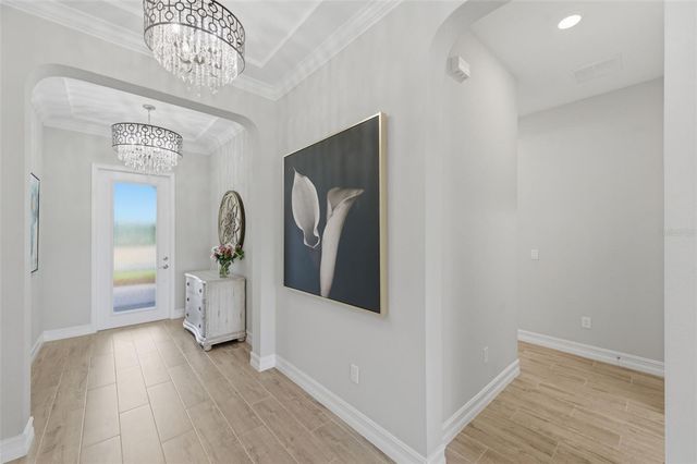 29657 PICANA LANE, Wesley Chapel, FL 33543