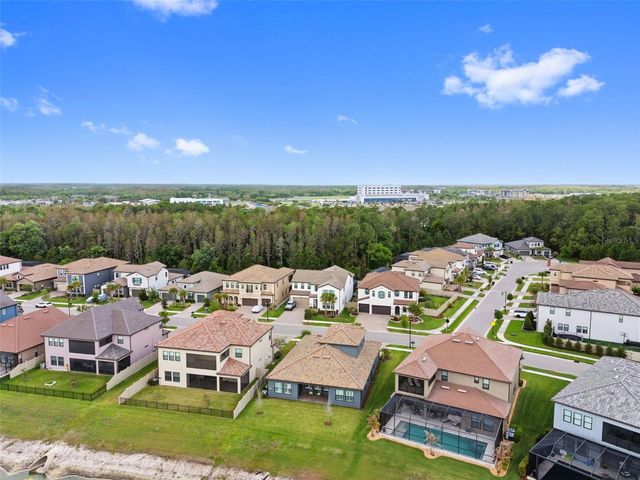 29657 PICANA LANE, Wesley Chapel, FL 33543