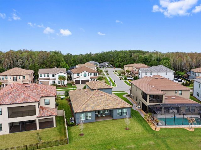 29657 PICANA LANE, Wesley Chapel, FL 33543