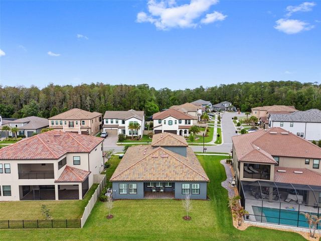 29657 PICANA LANE, Wesley Chapel, FL 33543