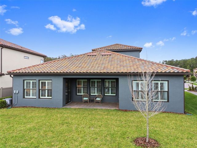 29657 PICANA LANE, Wesley Chapel, FL 33543