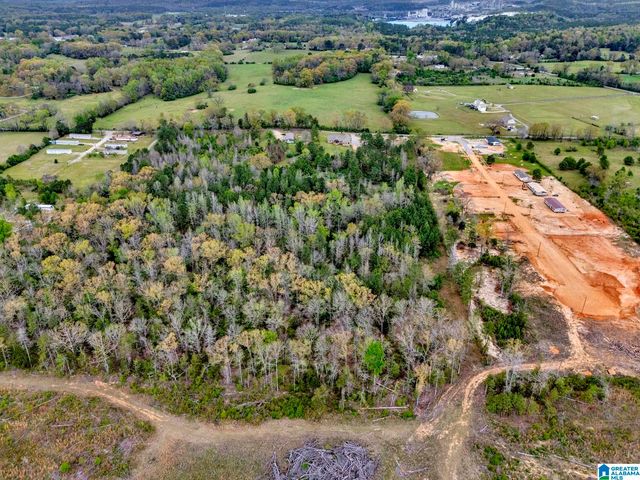 568 COUNTY ROAD 201, Montevallo, AL 35040