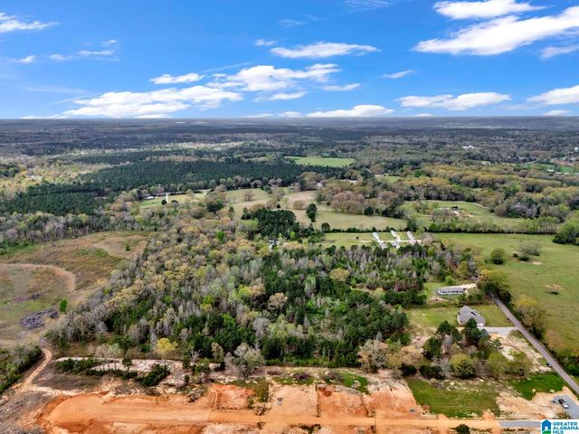 568 COUNTY ROAD 201, Montevallo, AL 35040