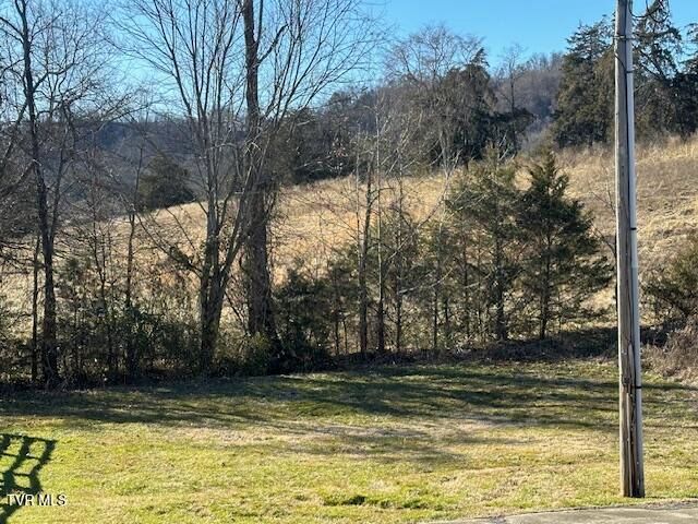 457 Terrace View Drive, Bean Station, TN 37708