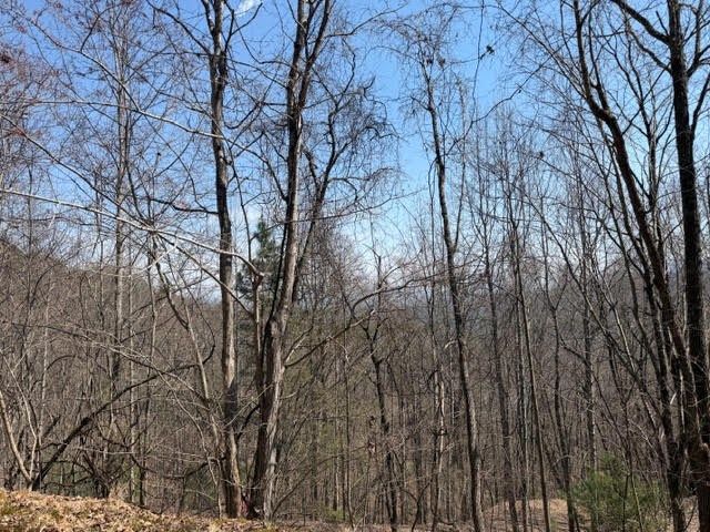 Lot 16 Laurel Mountain, Brasstown, NC 28902