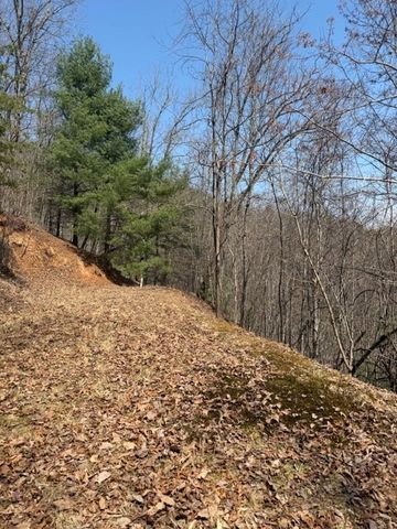 Lot 16 Laurel Mountain, Brasstown, NC 28902