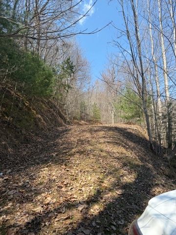 Lot 16 Laurel Mountain, Brasstown, NC 28902