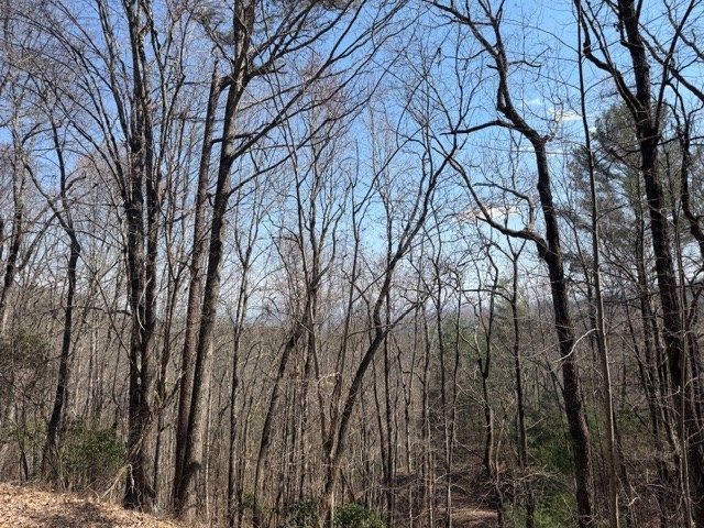 Lot 16 Laurel Mountain, Brasstown, NC 28902