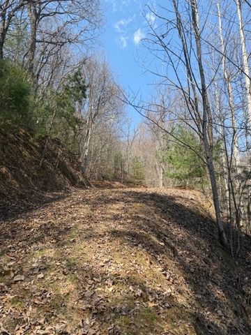 Lot 16 Laurel Mountain, Brasstown, NC 28902