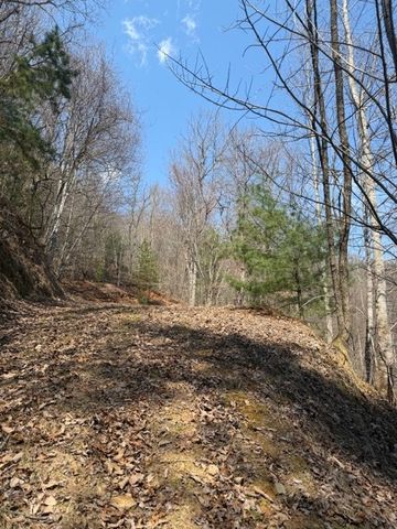 Lot 16 Laurel Mountain, Brasstown, NC 28902