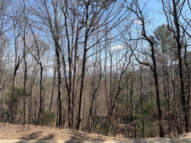 Lot 16 Laurel Mountain, Brasstown, NC 28902