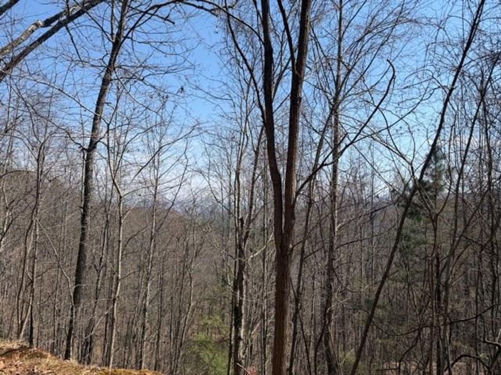 Lot 16 Laurel Mountain, Brasstown, NC 28902